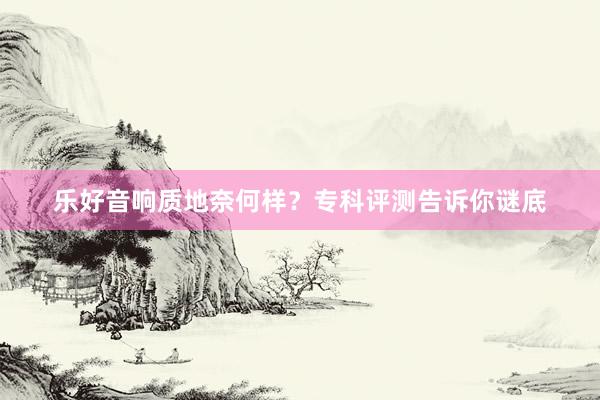 乐好音响质地奈何样？专科评测告诉你谜底